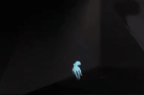 GIF 3